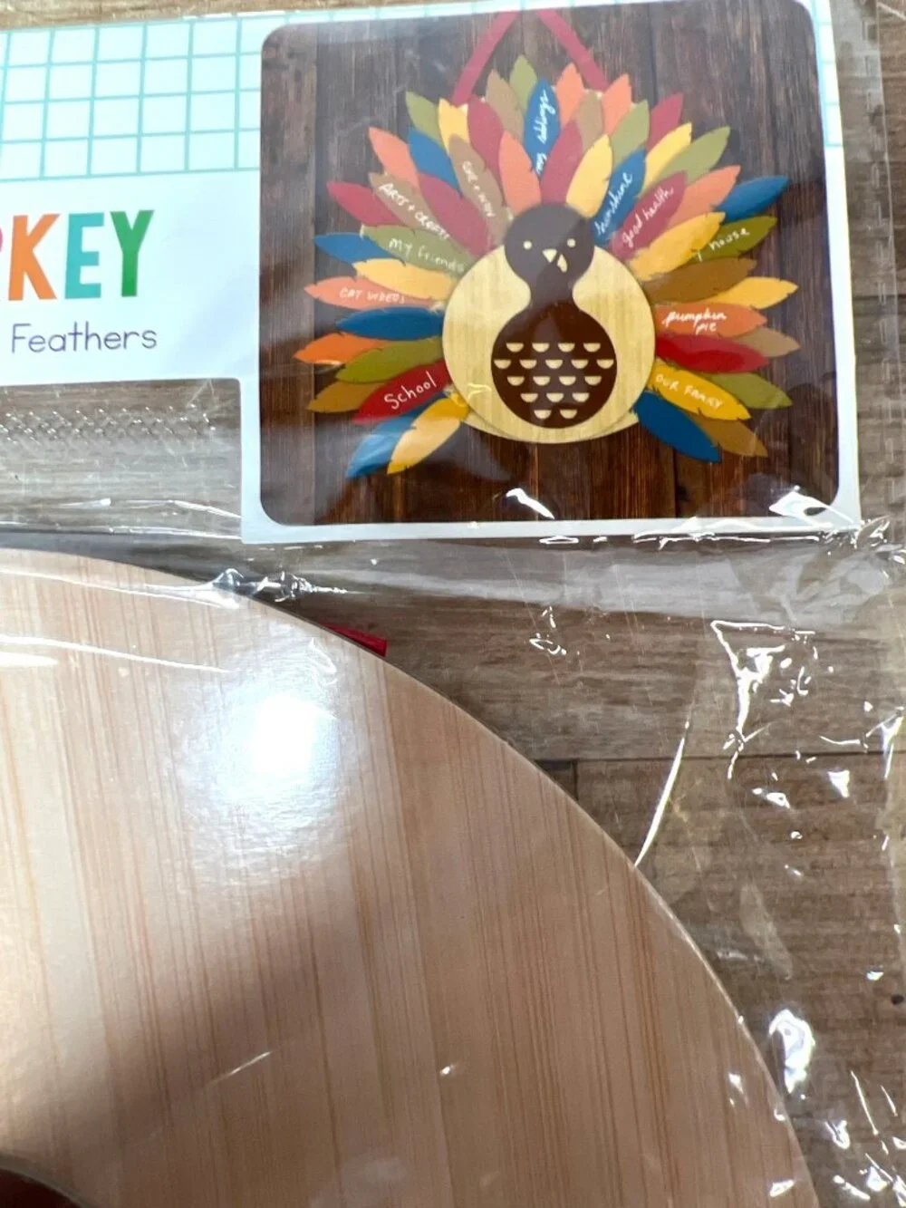 Gratitude Turkey Kit With Hanging Board & 48 Adhesive Feathers Thanksgiving Craf